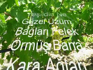 Seni Özledim Karaağaçköyü