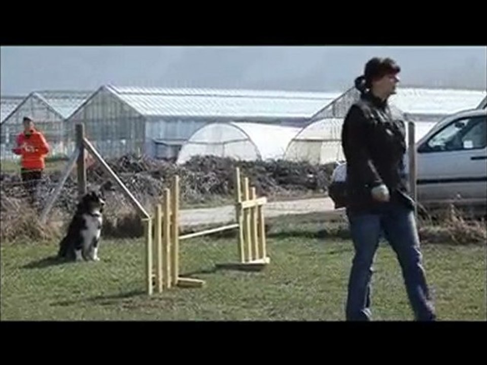 Cheyka Agility Mars