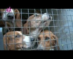 Les femmes chasseurs se forment aux règles de sécurité.