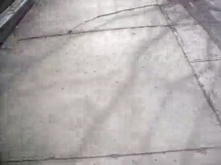 la saint patrick! montréal