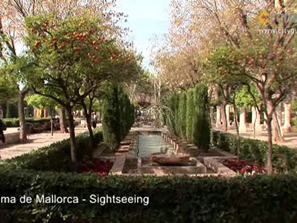 CITYteaser, Palma de Mallorca