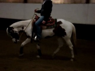 hopy début de séance