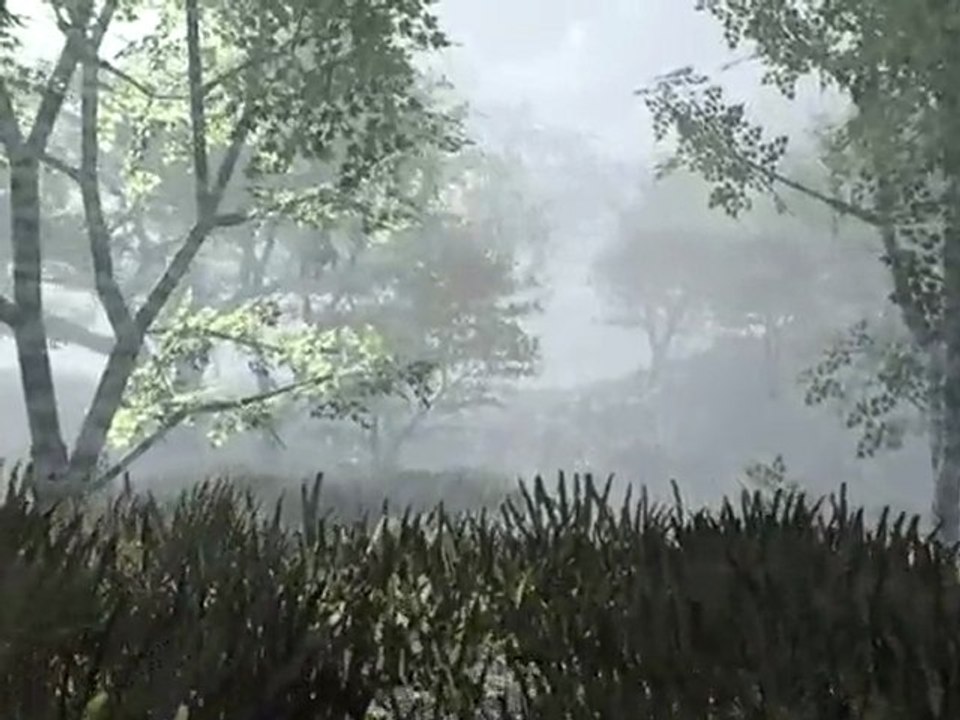 ambiance magique.avi