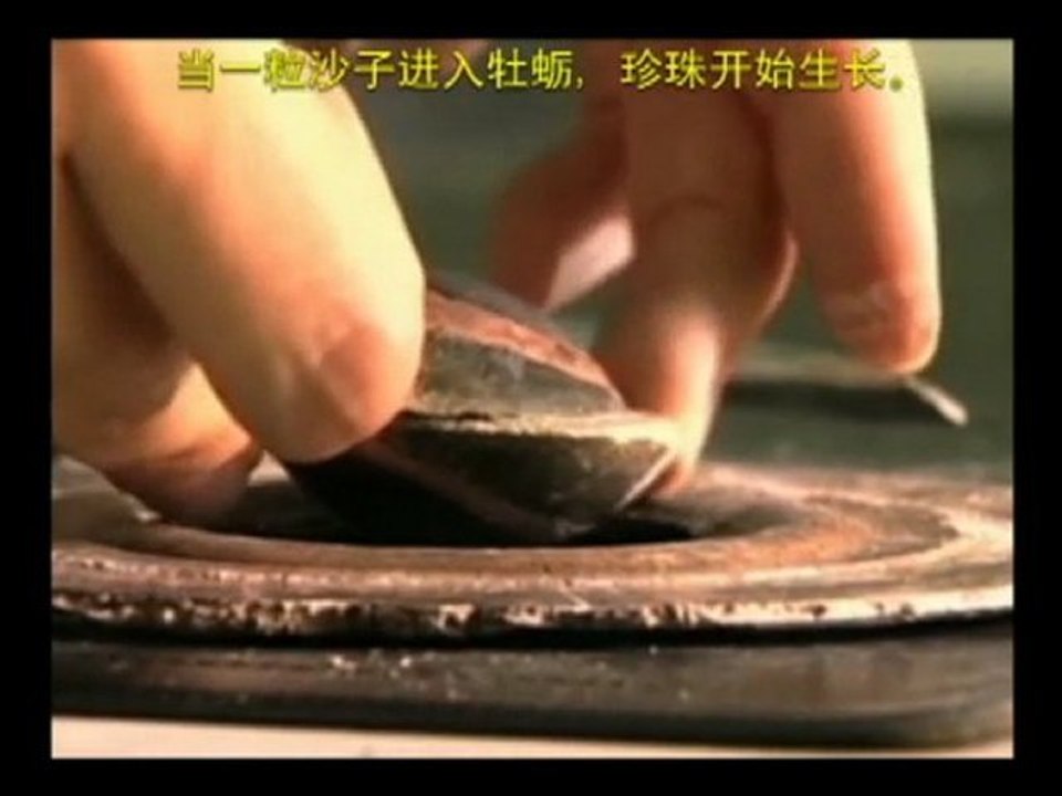 Algordanza - Video Trailer 2 (Cantonese)