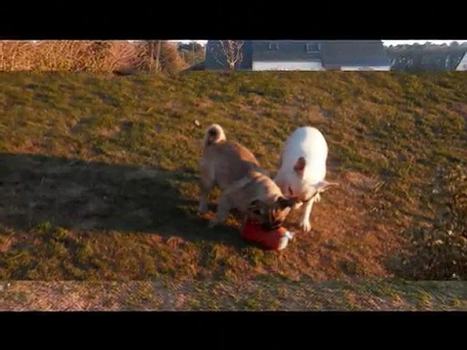 SI J'AVAIS UN MARTEAU