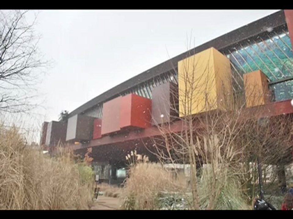 Musée Quai BRANLY -