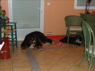 découvertes des petits avec cyrius