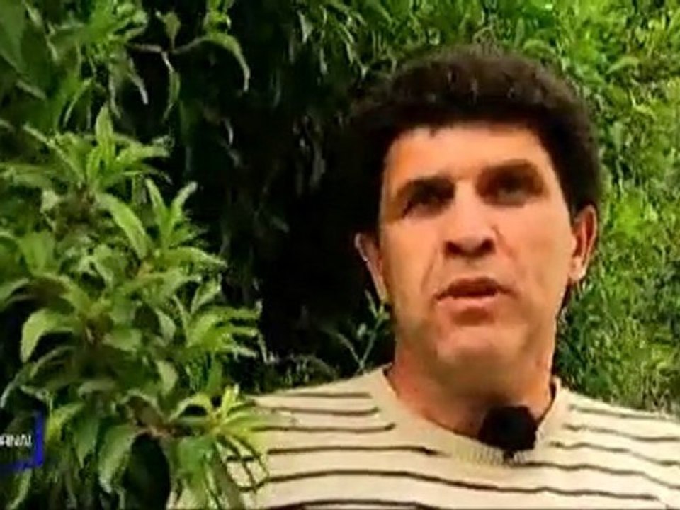 Le centre équestre de St Laurent accueille les handicapés