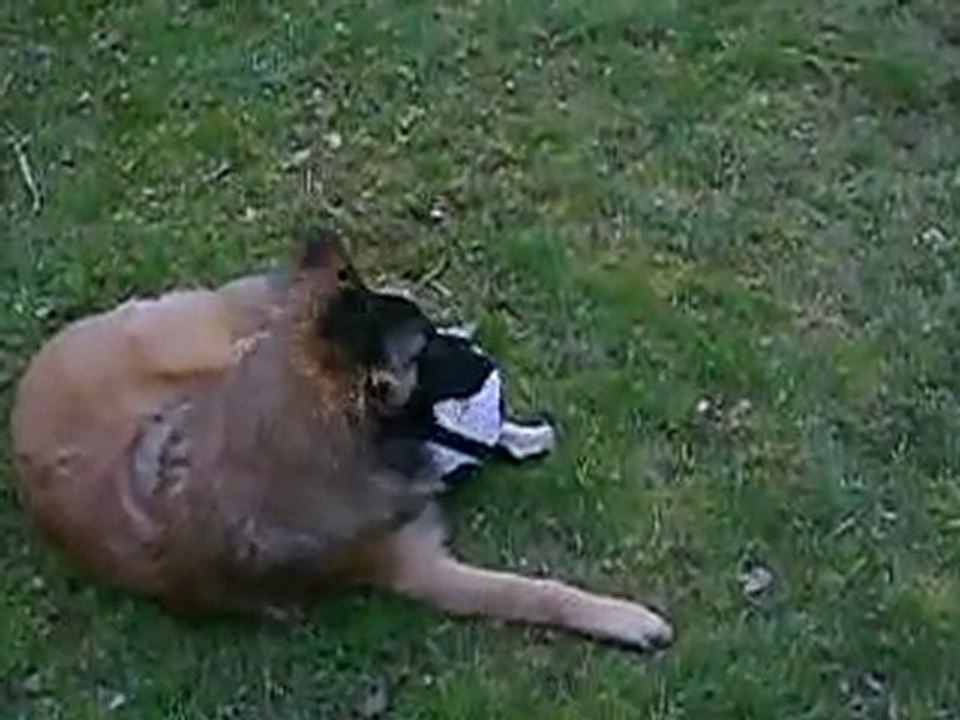 ENCORE ET TOIUJOURS LE BALLON