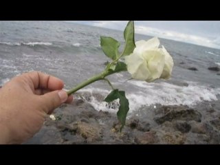 Białe róże-Blue Romantic