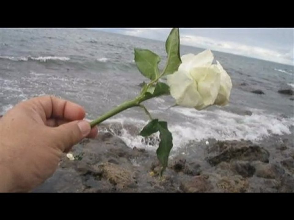 Białe róże-Blue Romantic