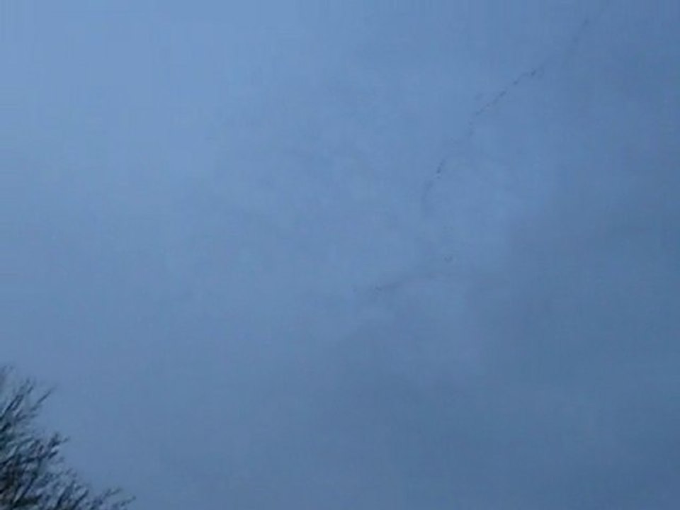 vol d'oiseaux