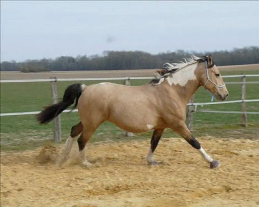 Kiowa mi mars 2010