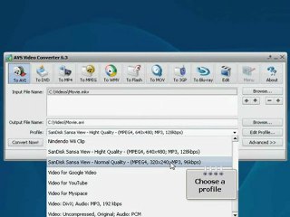 Convert mkv to avi with subtitles.
