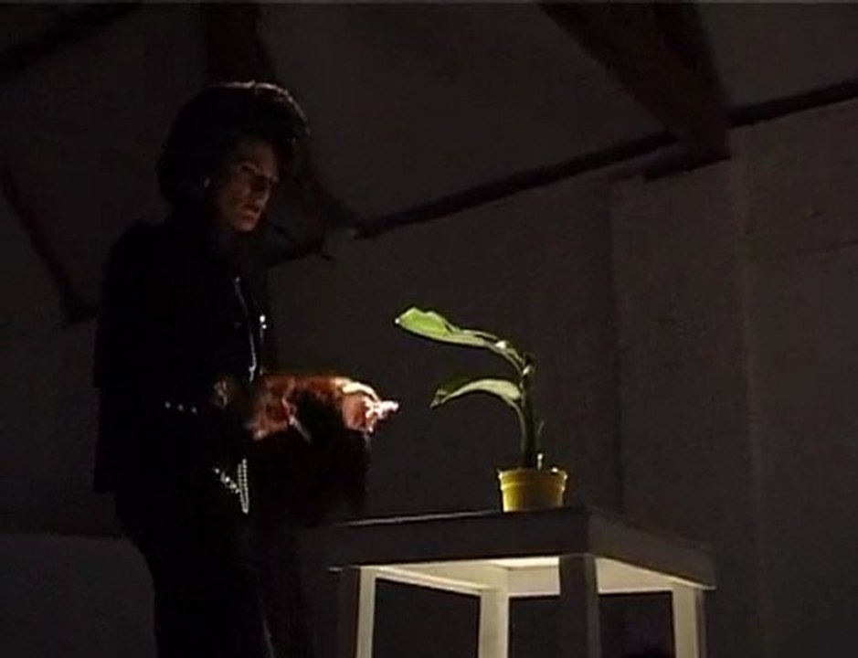 Fabrice HYBER POF Cabaret Bruges (extrait)