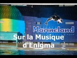 MARINELAND ANTIBES PHOTOS ET MONTAGE VIDEO B.TRIOULET