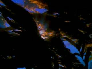 Blue Screen of Death Error