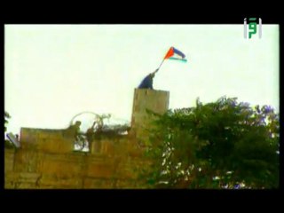 vive la palestine vive la paix