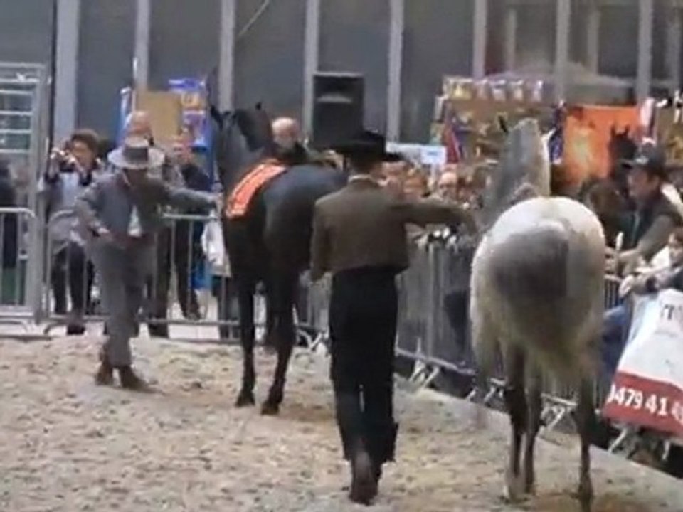 Jose Elvira au salon du cheval de Mons 2010