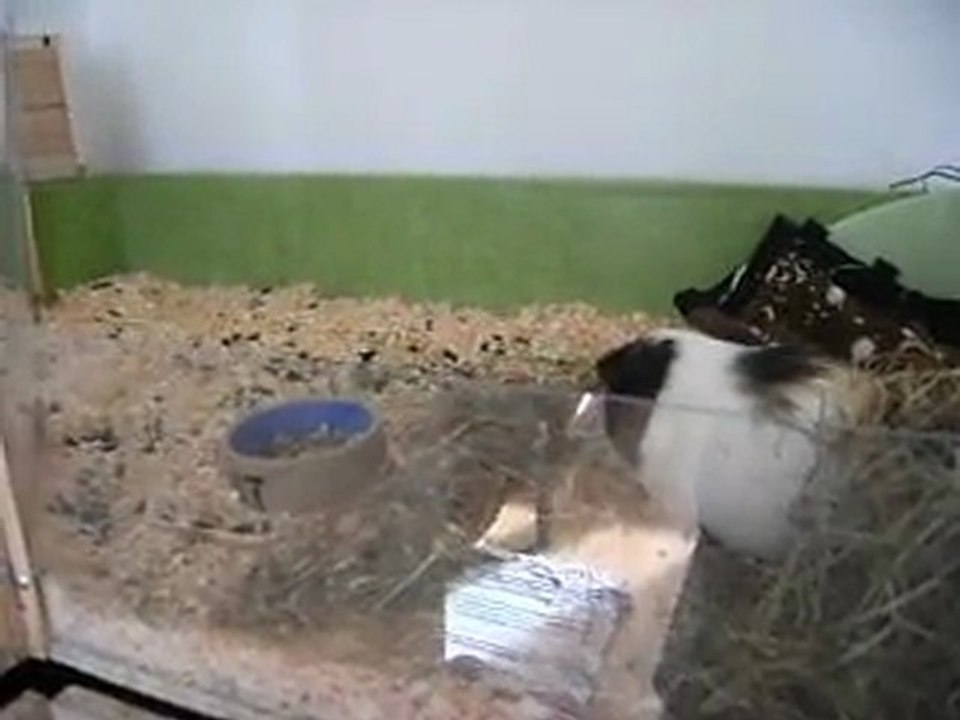 Lewis et Norton, ouh les gourmands!!