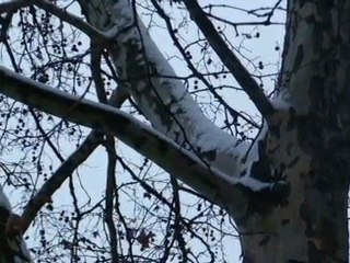 Si - Rudyard Kipling