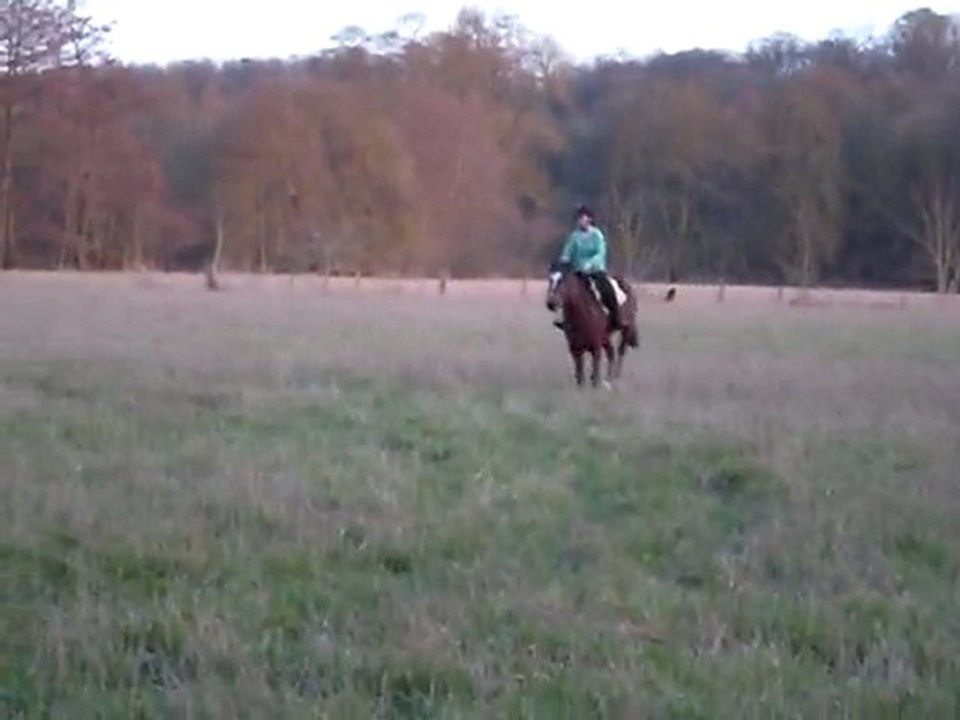Bébé et moi , au galop dans le champ :P