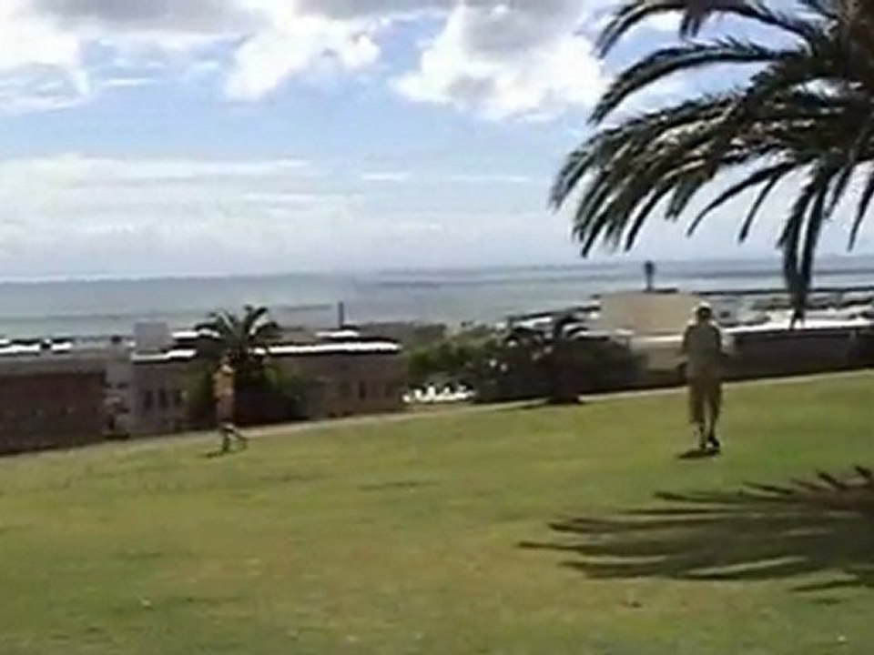 Dag 11: Port Elisabeth - Plettenberg 16/11/05