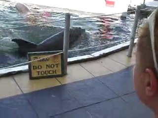 Theater The Sea Islamorada Florida. United States.