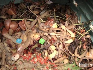 La biodiversité au jardin partagé Saint-Serge