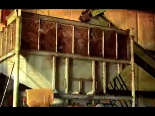 Saw Palmetto - The Complete Story