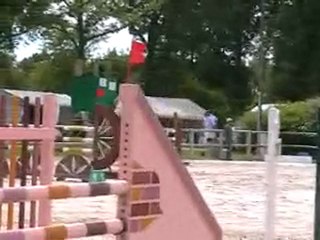 LOYAL VAL MENARD EPREUVE 1M25