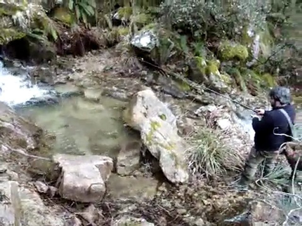 peche a la truite