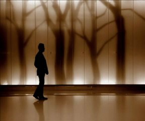 magic forest - m. walking on the water