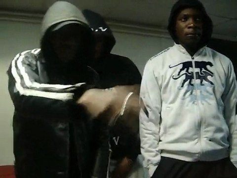 Freestyle 93GanG Au Stud