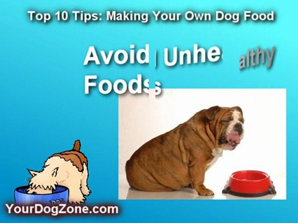 How To Make Your Own Dog Food: Top 10