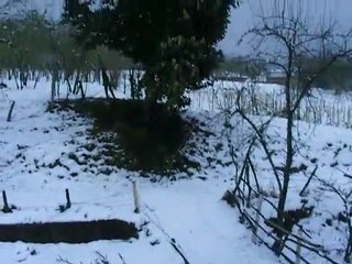 18mart2010 tarihinde köyümüzde kar yağışı