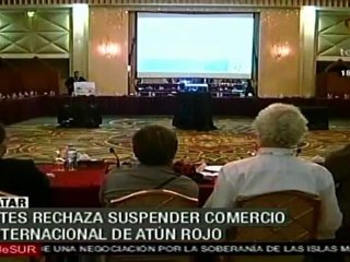 Rechazan prohibir pesca de atún rojo