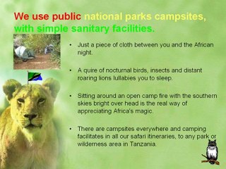 TANZANIA BUDGET CAMPING SAFARI JOINING OTHERS 3 DAY / 2 ...