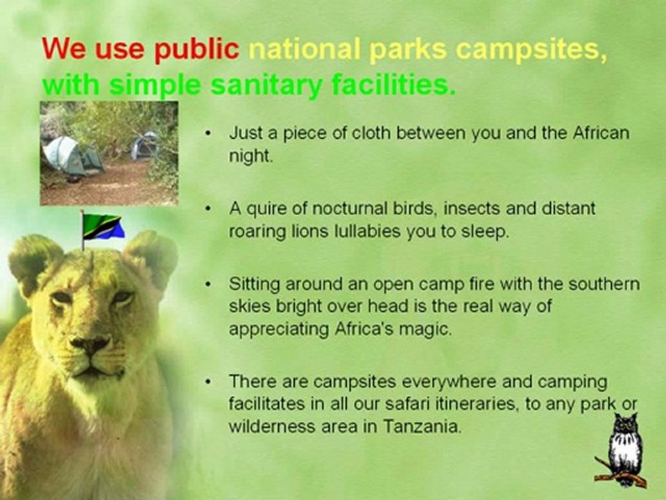 TANZANIA BUDGET CAMPING SAFARI JOINING OTHERS 3 DAY / 2 ...