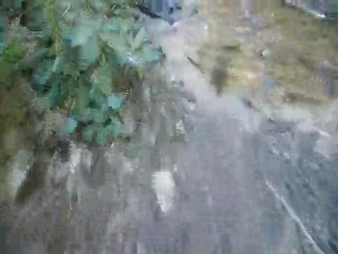 Descente VTT à ESCOUTOUX ( Puy de Dôme) by El Kéké Teamgamel