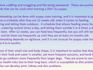 How To Care Your Shih-Tzu