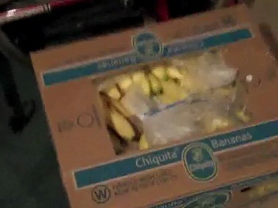 30 Days Raw Food 80/10/10 | Day 4