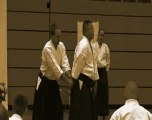 Dento Iwama Ryu - Hitohiro Saito KAI-CHO