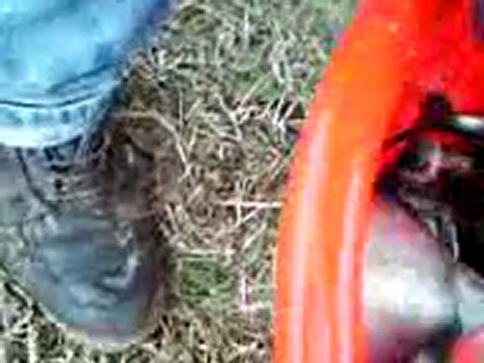 peche breme et gardon