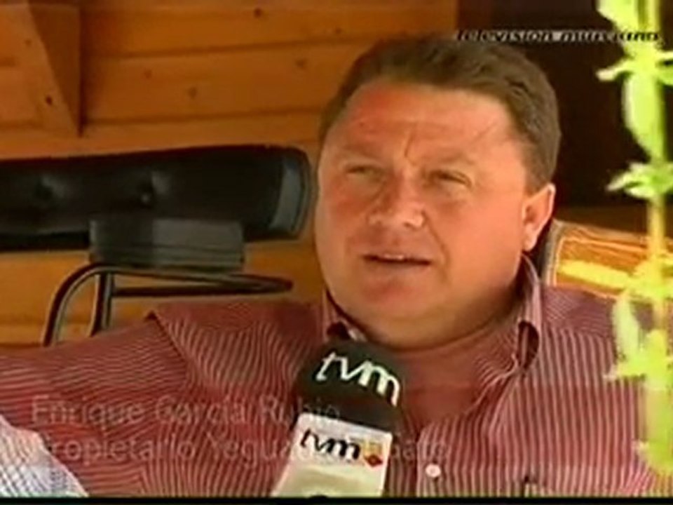 CABALLOS DEL VINO "EN DE GRANA Y ORO"