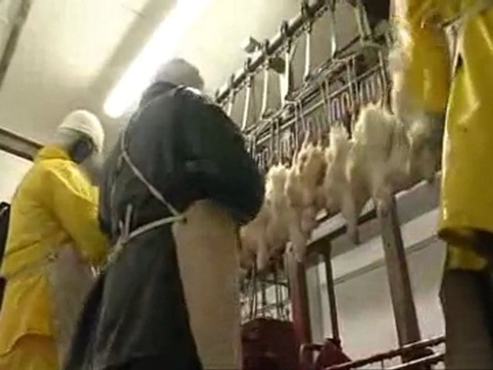 KFC n'est pas halal