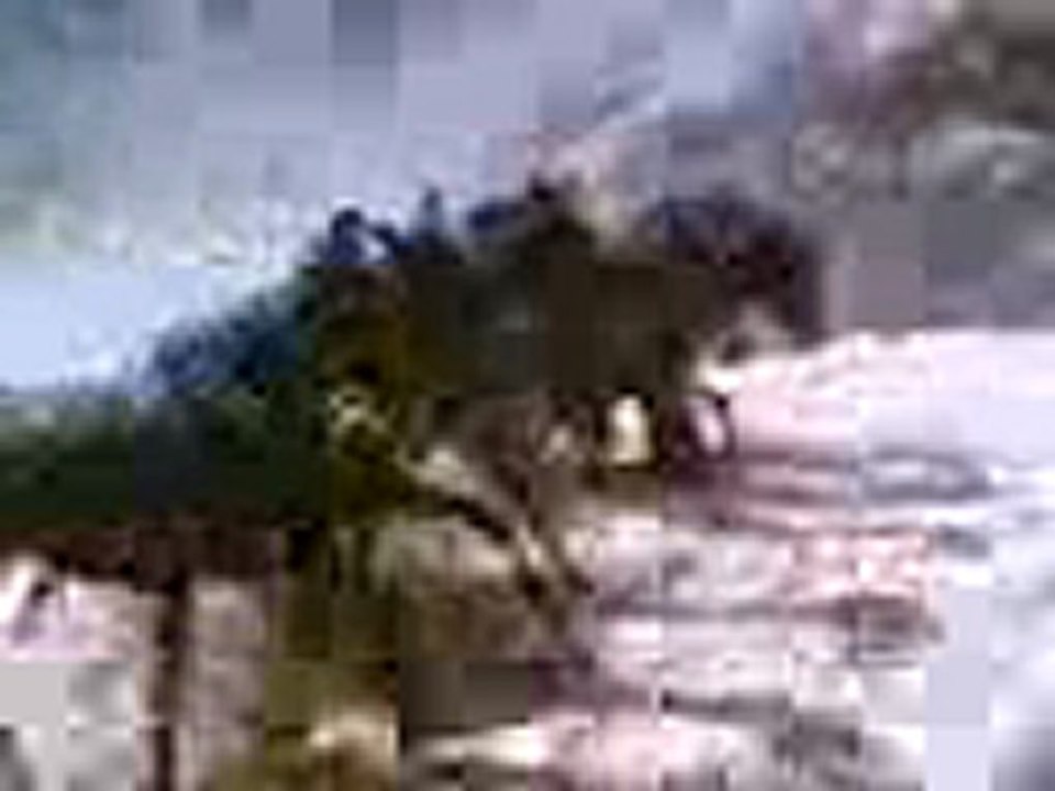 Ali005
