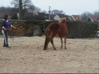 louna un combat interminable