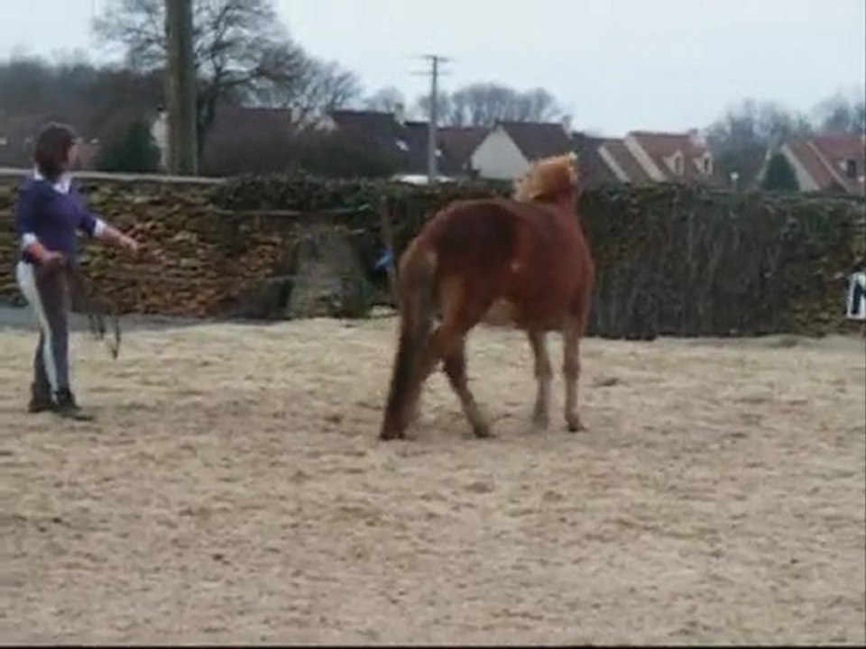 louna un combat interminable