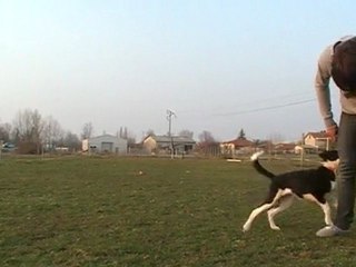 Fidgy & Le Slalom Marche ( 2 eme Fois )